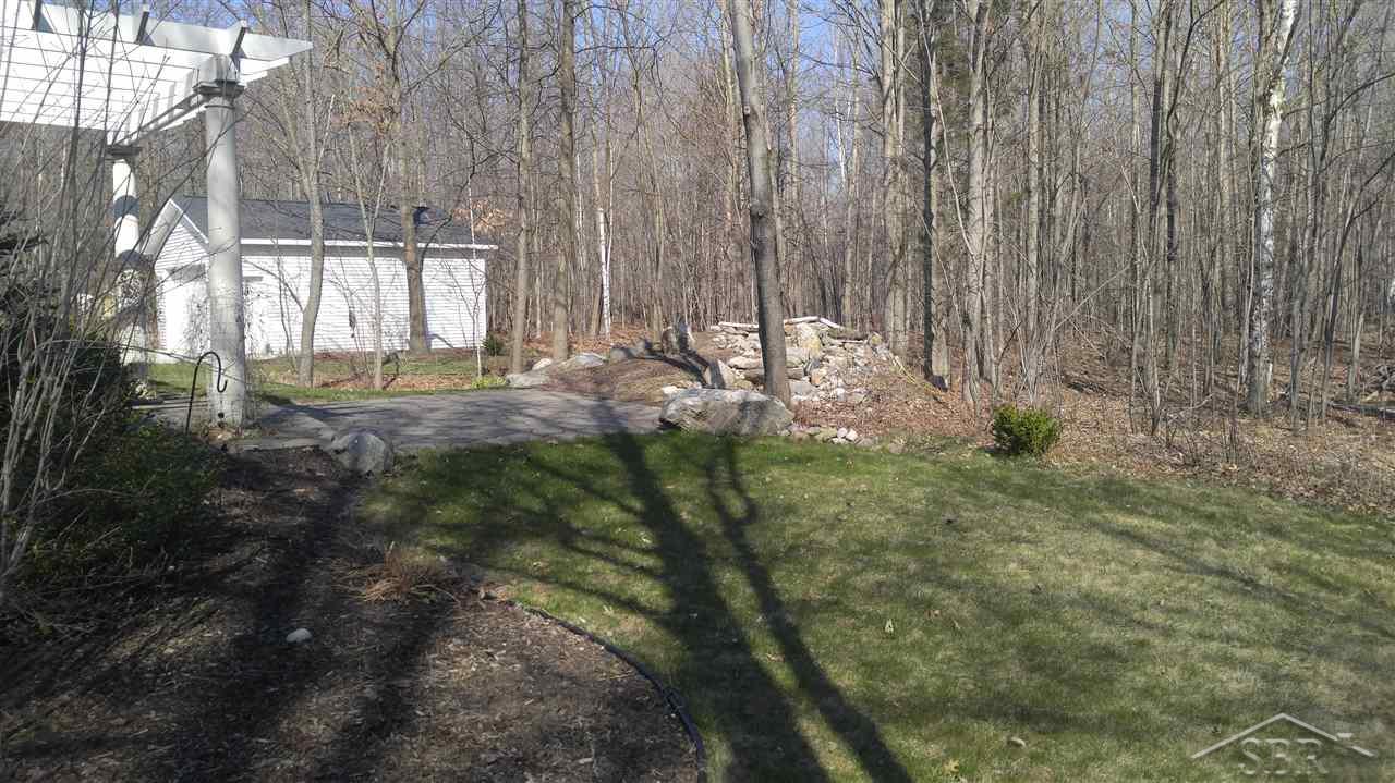 21780 Ederer Road Merrill, MI 48637 - Photo 44 of 48 31282357-43.JPG