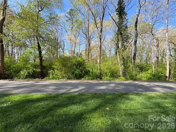 a view of yard with large trees