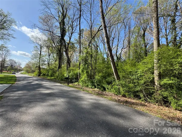 a view of road and trees