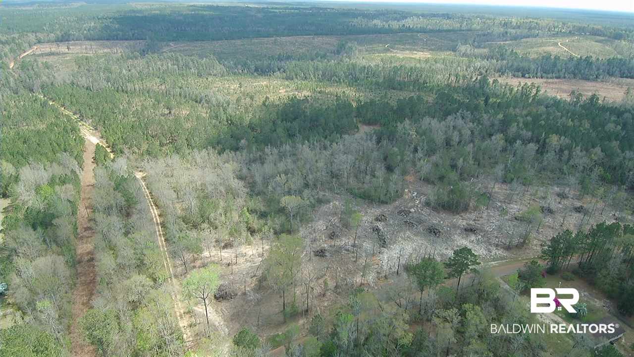 5-6 Dixon Nursery Road Brewton, AL 36426 - Photo 8 of 21