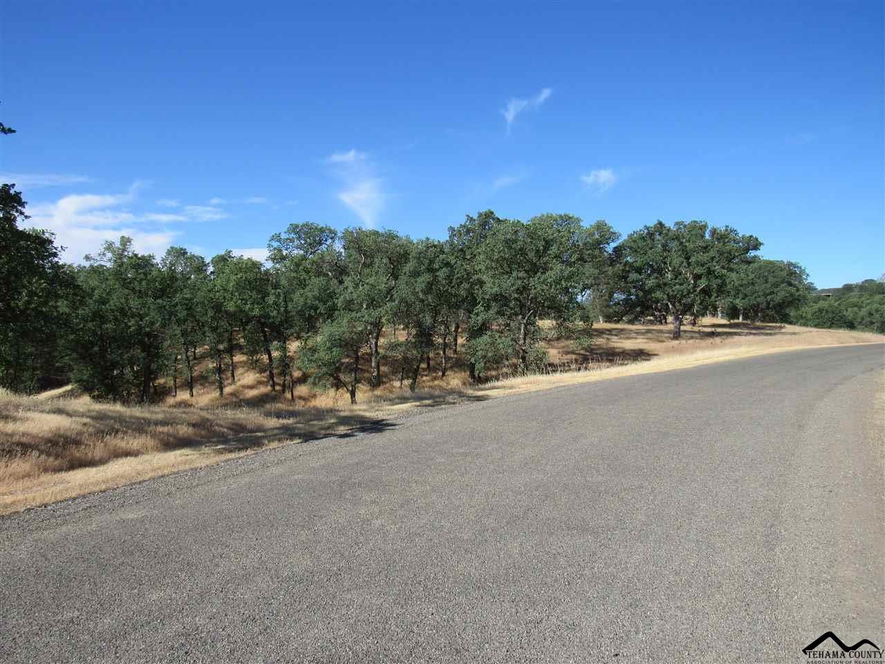 Aaaa Mccoy Road Cottonwood, CA 96022 - Photo 4 of 4