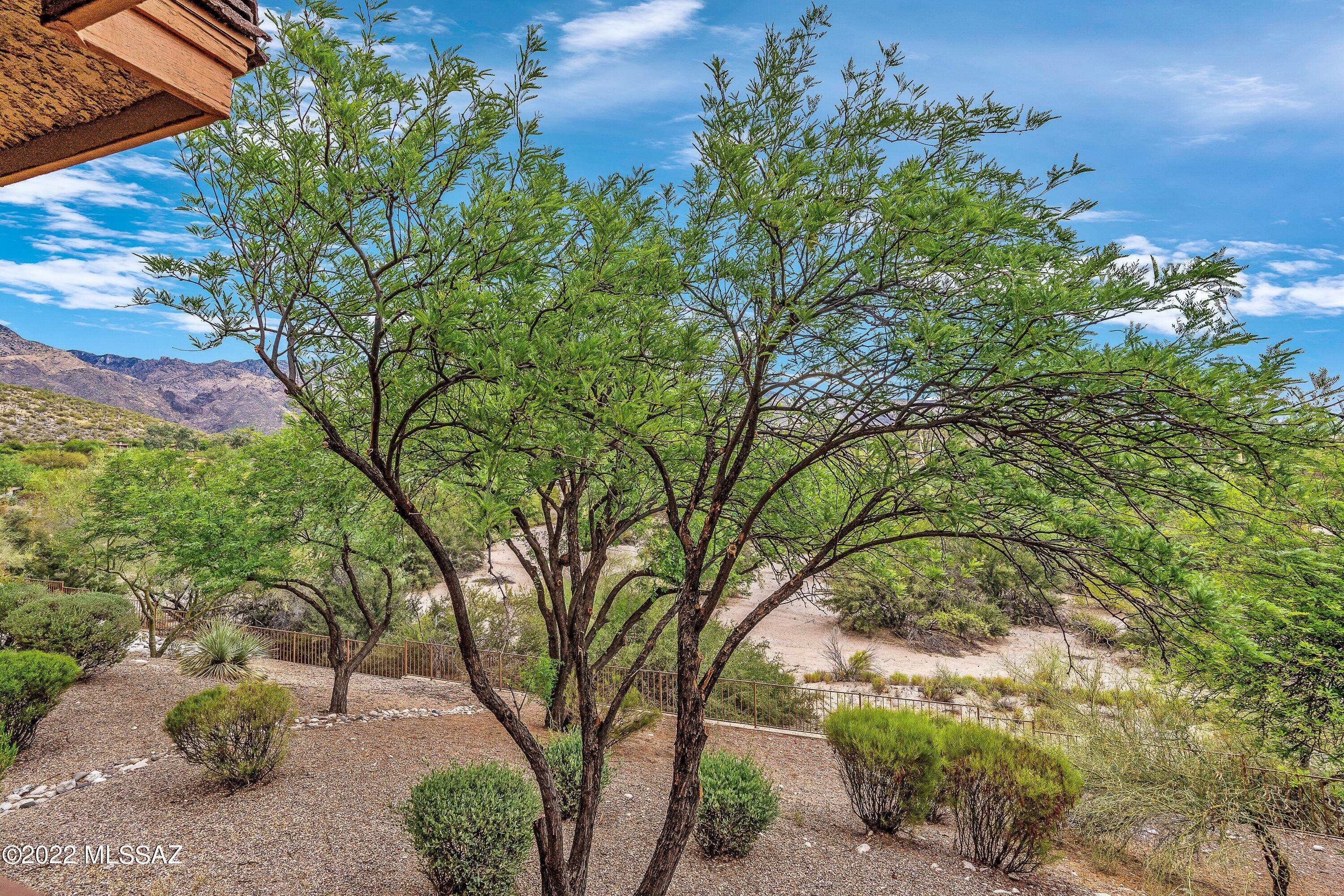 7255 East Snyder Road, Unit 4203 Tucson, AZ 85750 - Photo 26 of 33