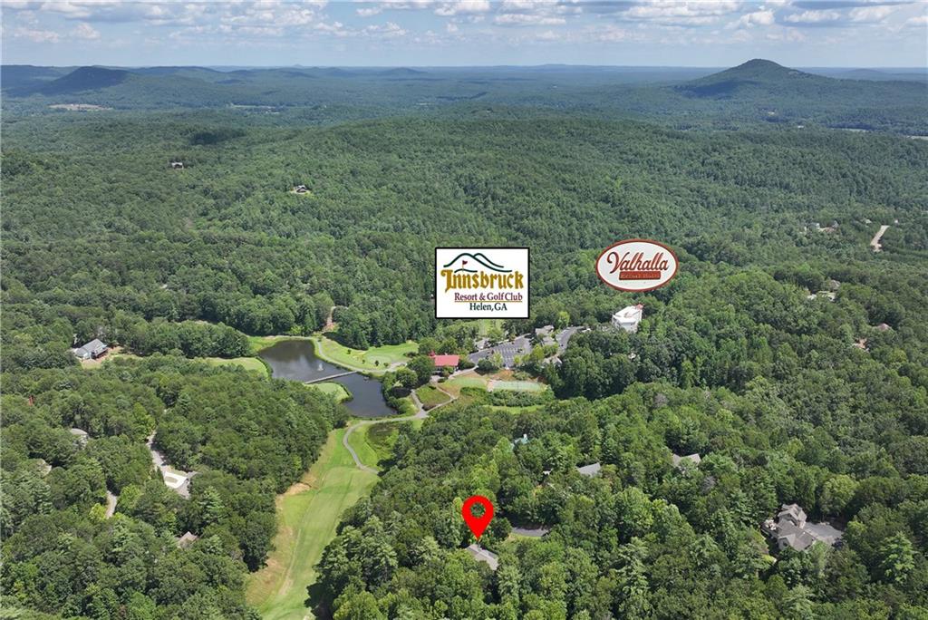 276 Zeppelin Strasse Helen, GA 30545 - Photo 50 of 60 a view of a lush green and green yard