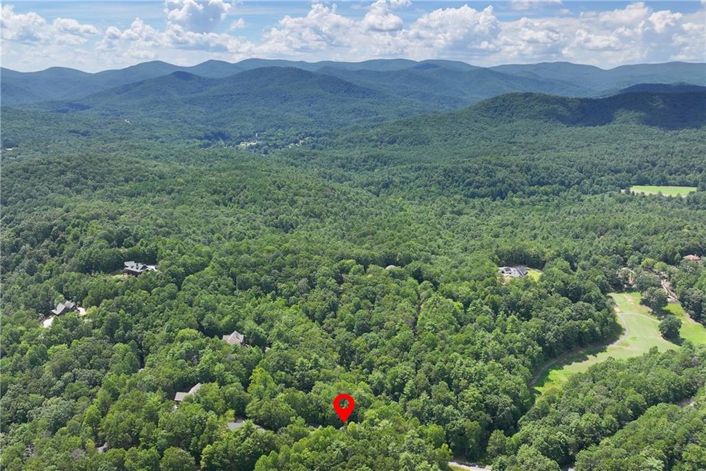 276 Zeppelin Strasse Helen, GA 30545 - Photo 51 of 60 a view of a lush green hillside and houses