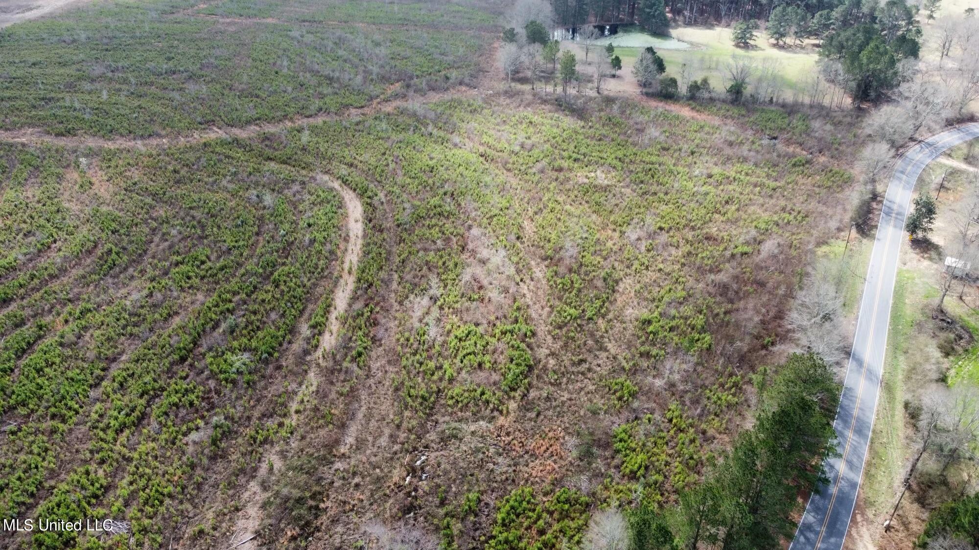0 West C Allen Road, Unit 6 Magee, MS 39111 - Photo 5 of 20 dji_fly_20230224_110946_205_167725863142