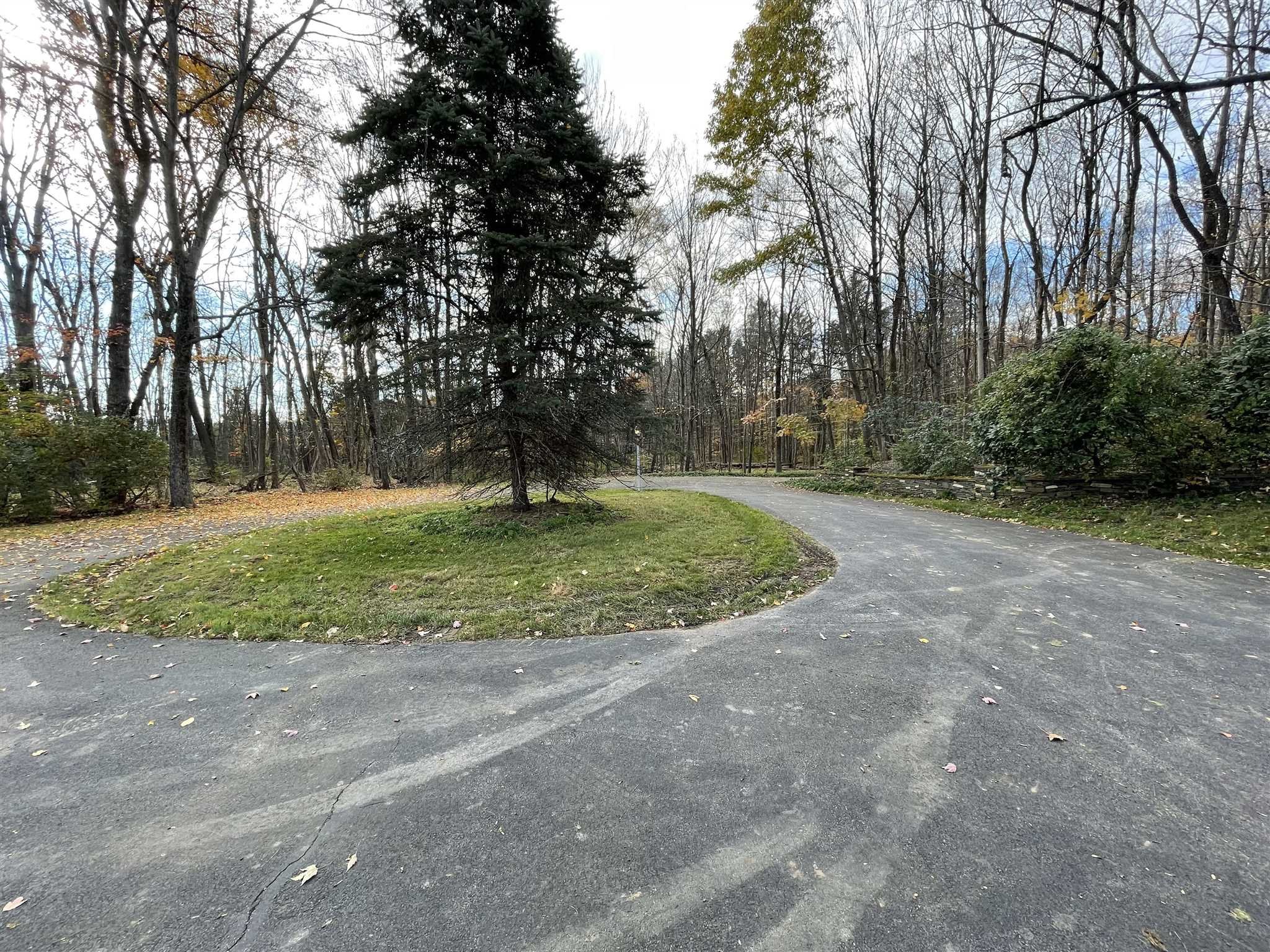 50 Allen Road Salt Point, NY 12578 - Photo 5 of 38 a view of a field with trees