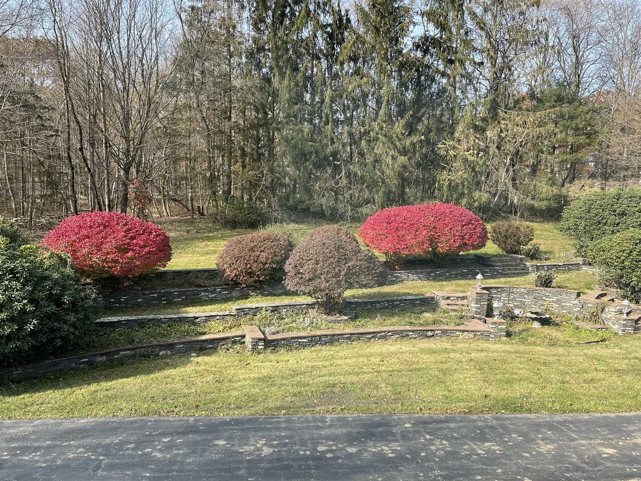 50 Allen Road Salt Point, NY 12578 - Photo 6 of 38 a view of swimming pool with a yard