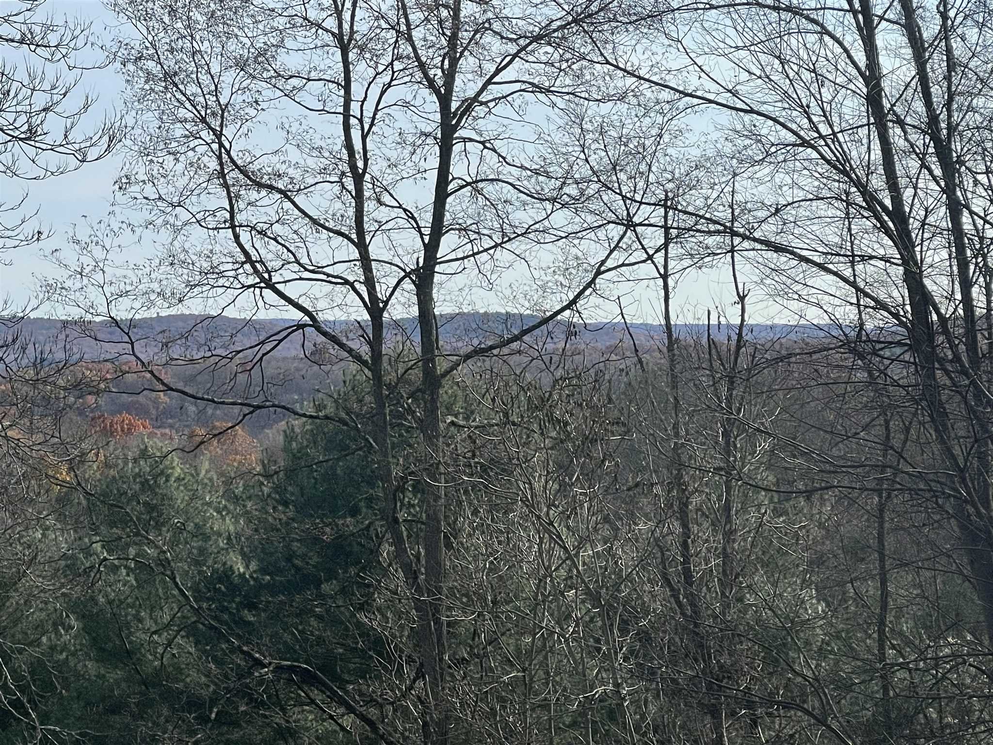 50 Allen Road Salt Point, NY 12578 - Photo 8 of 38 a backyard of a house with lots of green space and trees