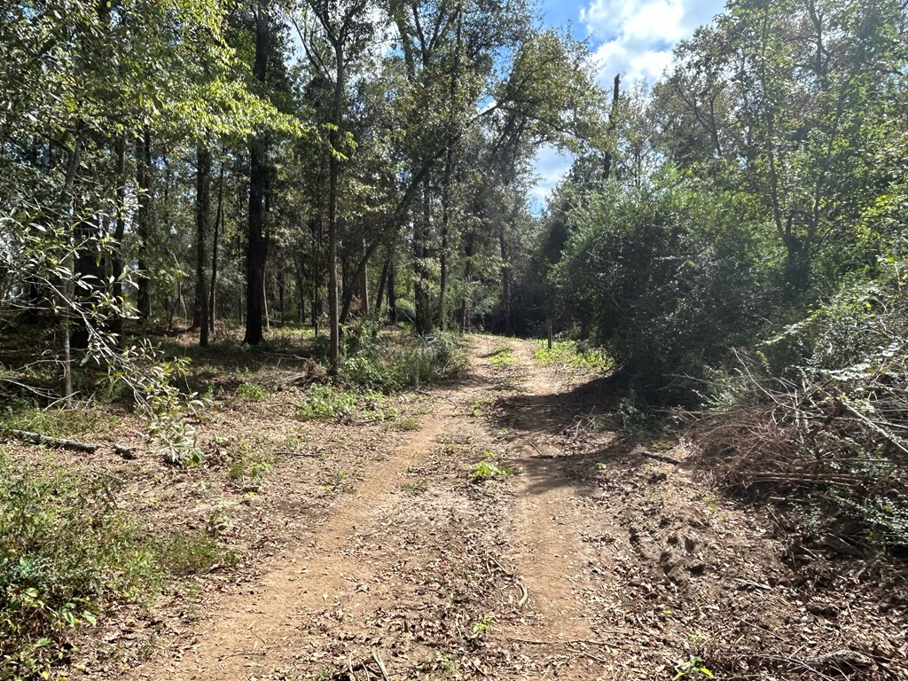 20.33-ac Sewell Road Dothan, AL 36301 - Photo 28 of 36