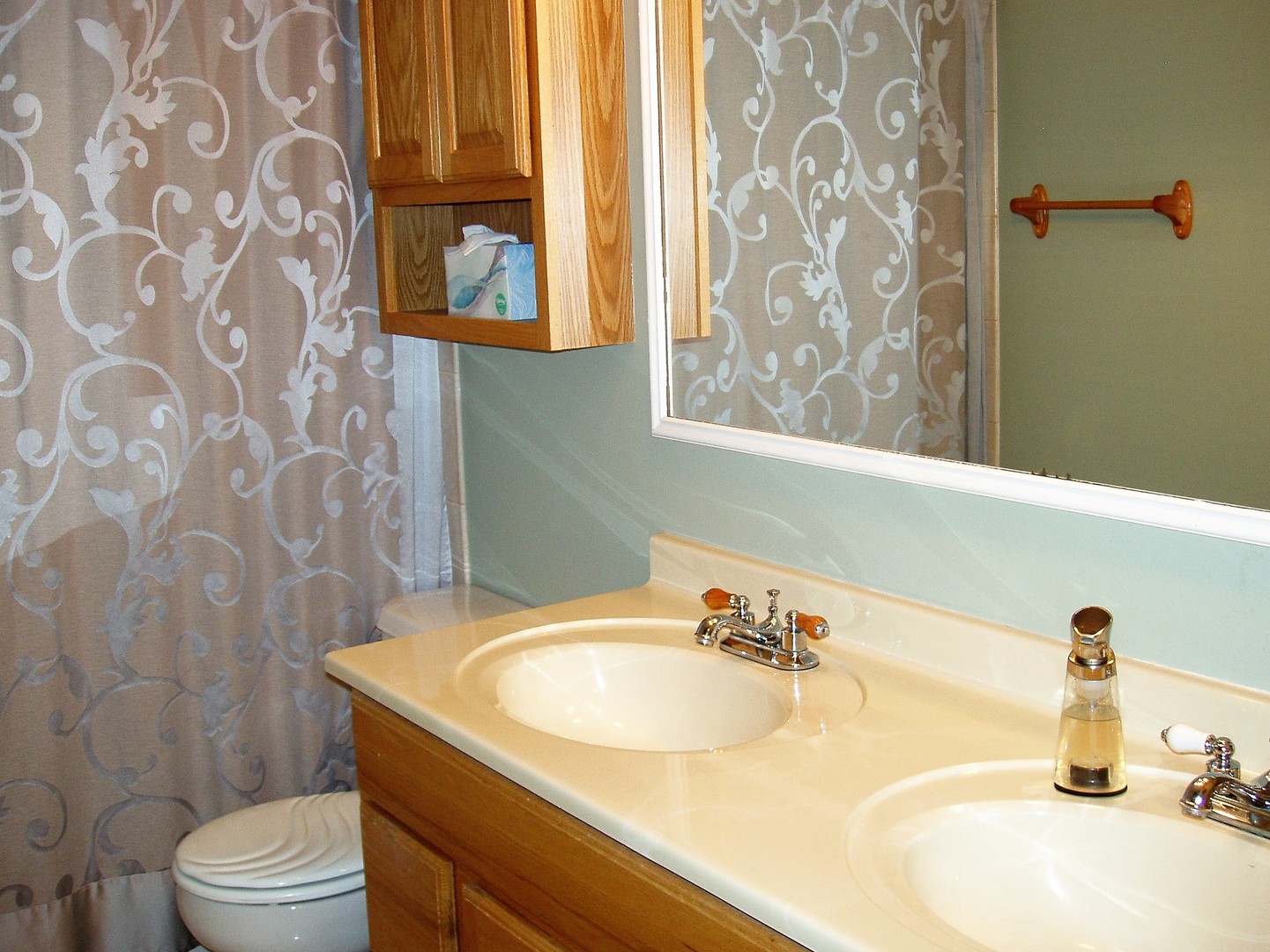 1102 Normal Road DeKalb, IL 60115 - Photo 17 of 22 a bathroom with a sink and a mirror
