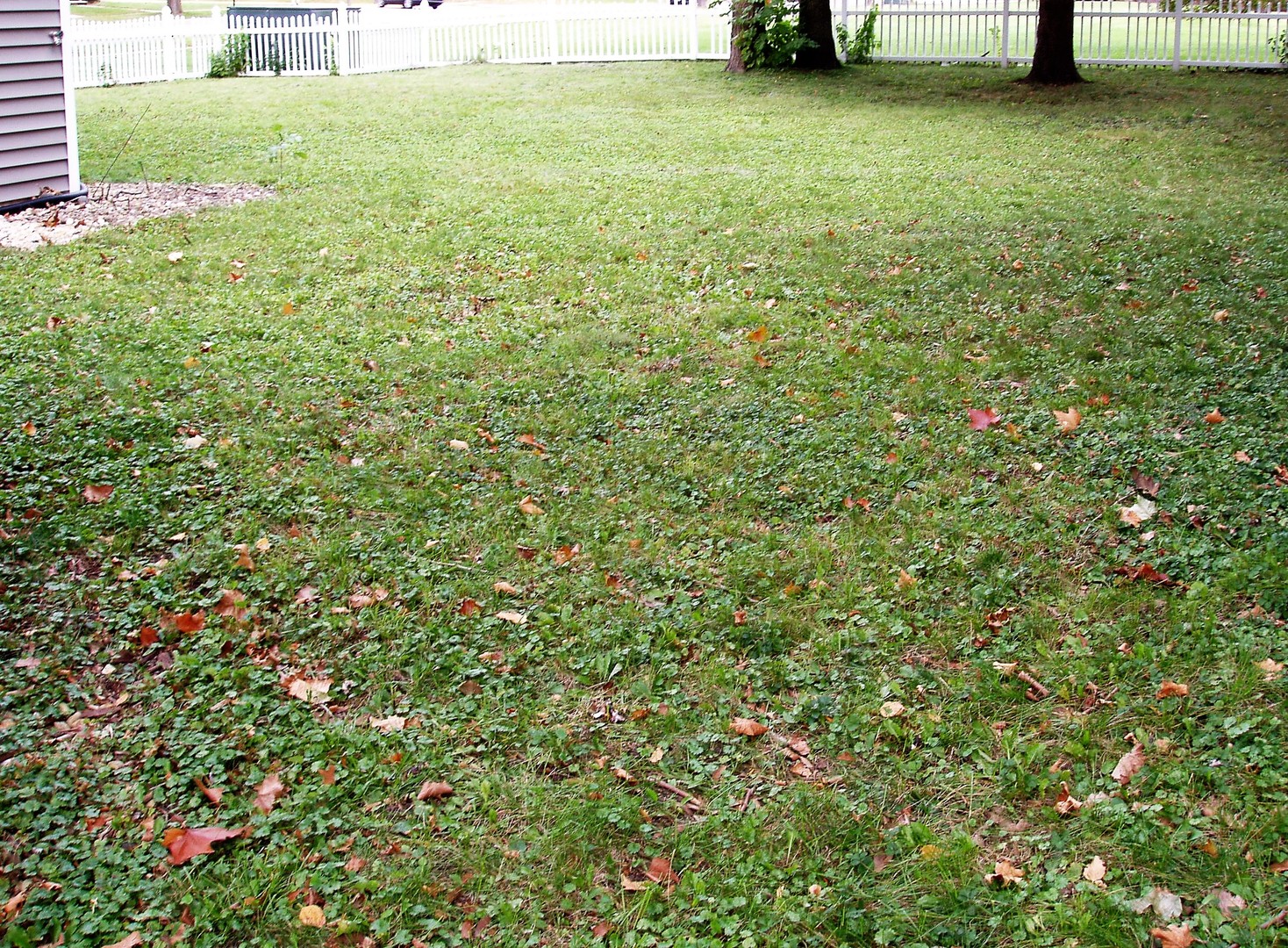 1102 Normal Road DeKalb, IL 60115 - Photo 22 of 22 a view of a green field with lots of bushes