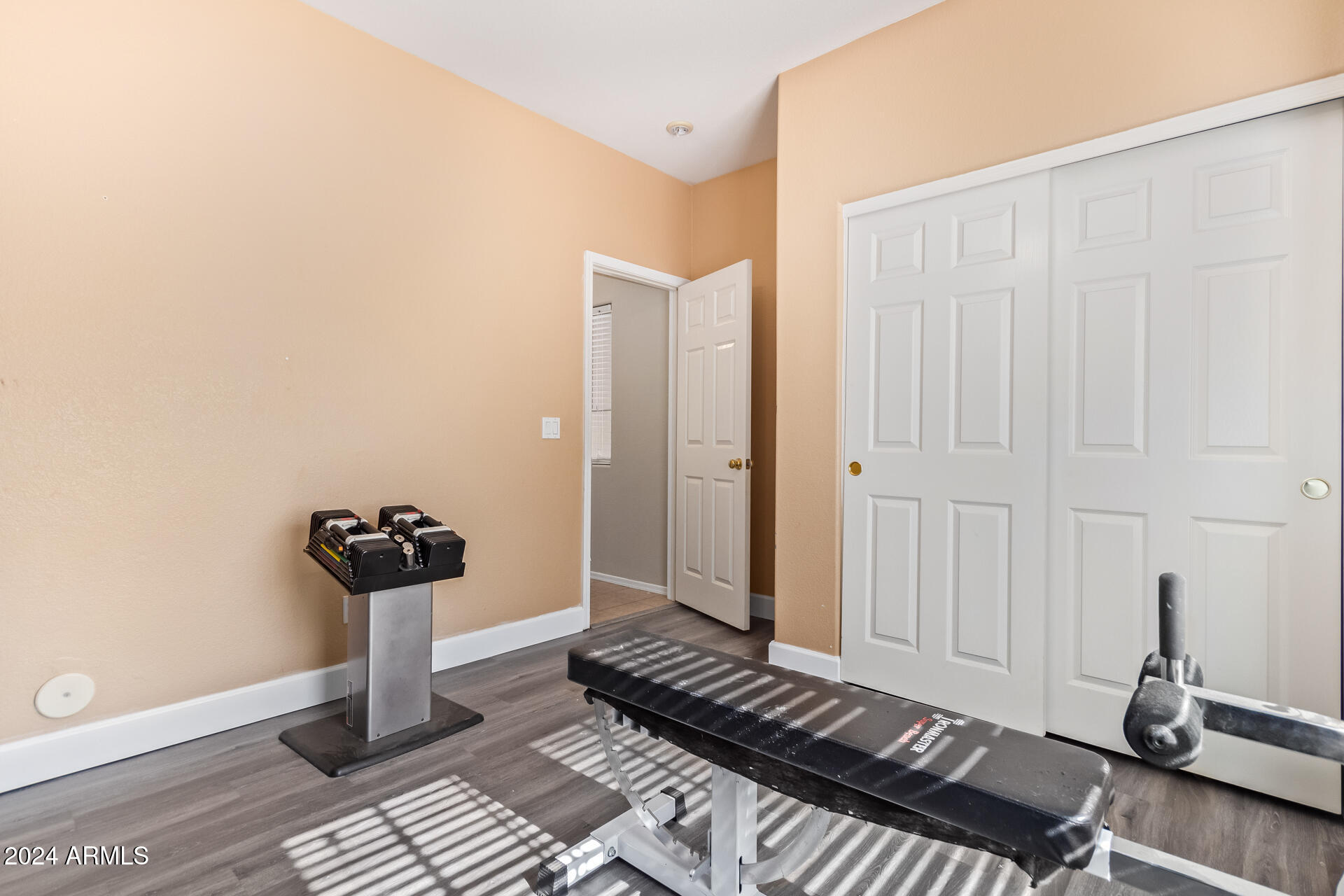 18750 East Ryan Road Queen Creek, AZ 85142 - Photo 28 of 36 a view of a room with gym equipment