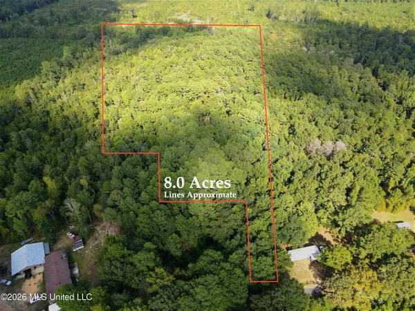 $26,000 | Blanchard Lane, Silver Creek, MS 39663