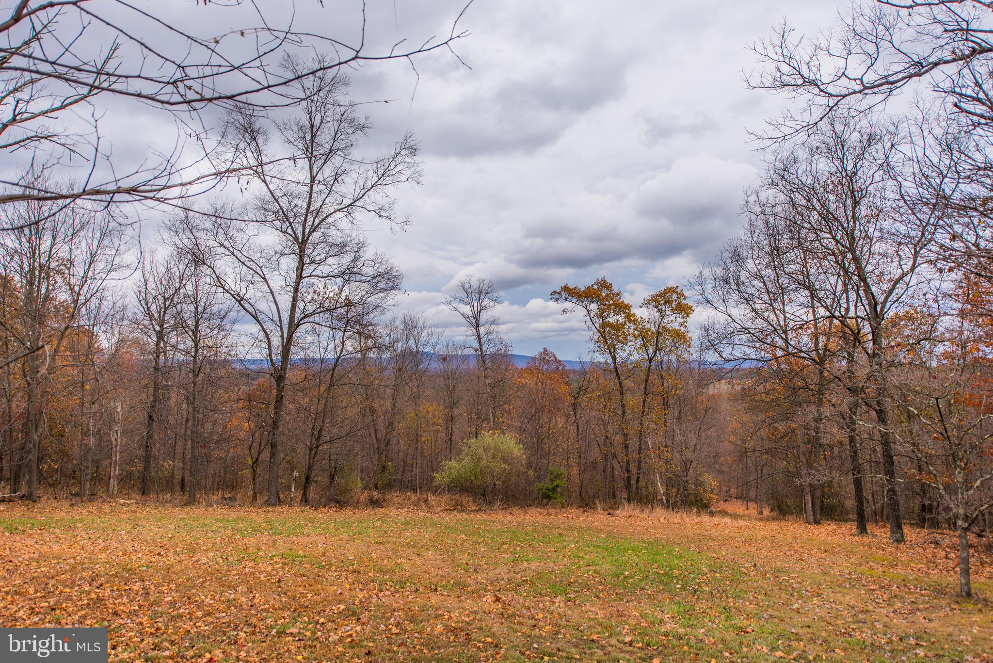 5014 Pious Ridge Road Berkeley Springs, WV 25411 - Photo 50 of 50 Gallery Image 50