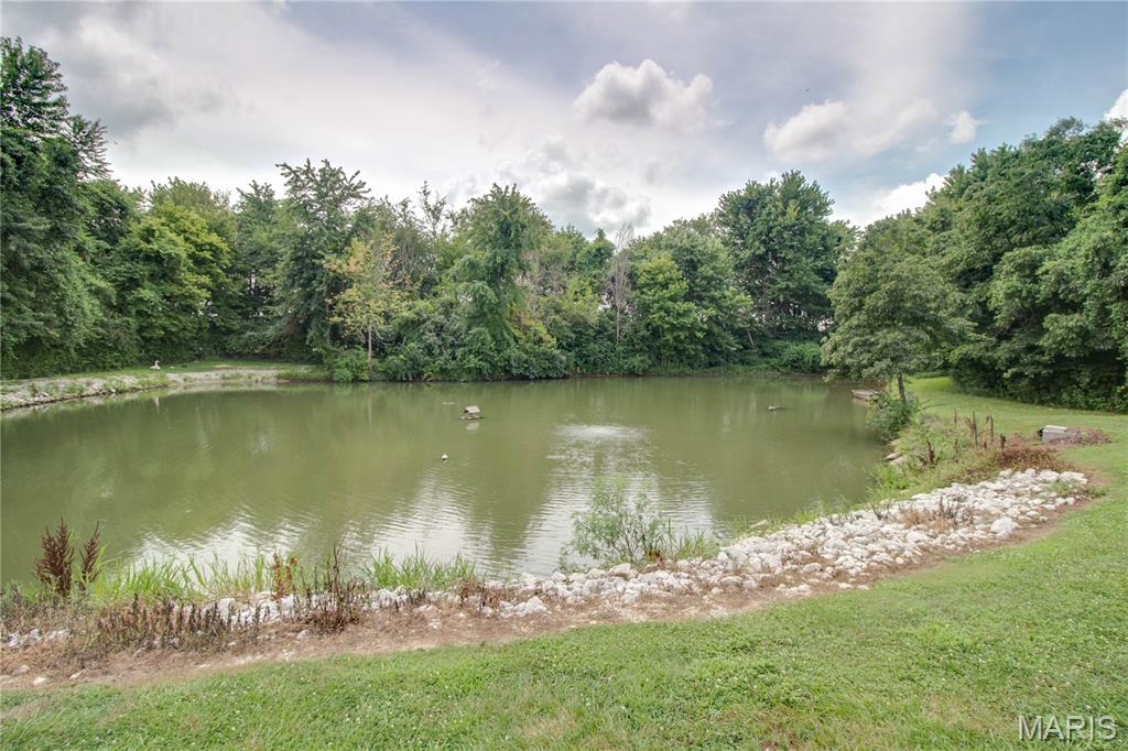 26195 Airport Road Dow, IL 62022 - Photo 85 of 89