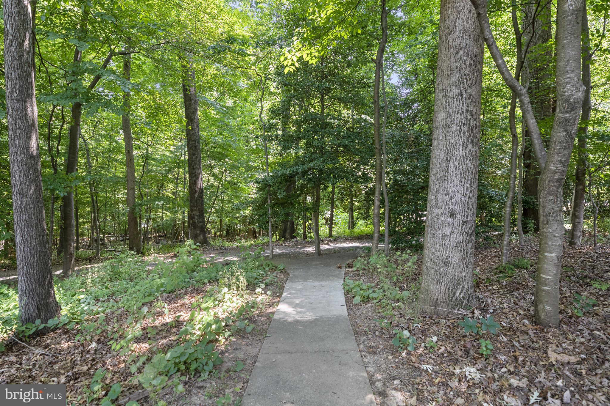 8020 Inverness Ridge Road Potomac, MD 20854 - Photo 38 of 46