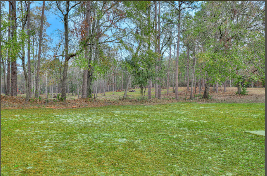 1137 Hatchaway Bridge Road Aiken, SC 29801 - Photo 3 of 20
