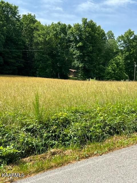 1243 Riggs Chapel Road Harriman, TN 37748 - Photo 31 of 43 Gallery Image 31