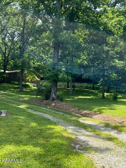 1243 Riggs Chapel Road Harriman, TN 37748 - Photo 35 of 43 Gallery Image 35