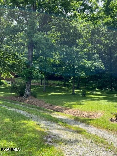 1243 Riggs Chapel Road Harriman, TN 37748 - Photo 36 of 43 Gallery Image 36