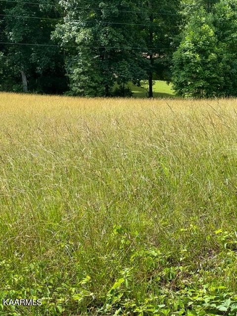 1243 Riggs Chapel Road Harriman, TN 37748 - Photo 38 of 43 Gallery Image 38