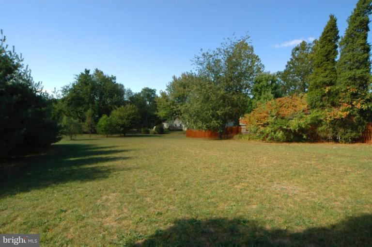 113 Morven Park Road Northwest Leesburg, VA 20176 - Photo 2 of 16 a view of outdoor space and yard