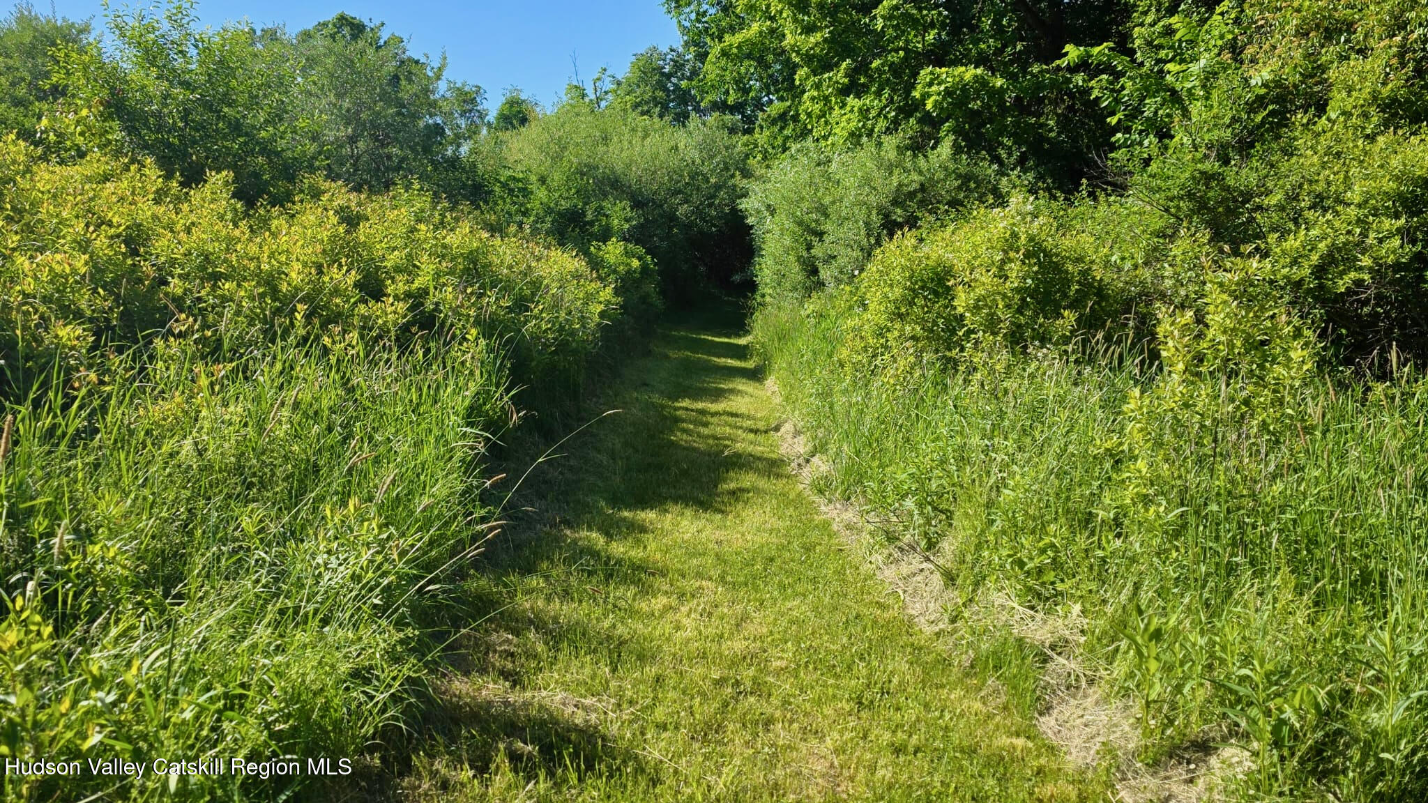 0 Rowe Road Red Hook, NY 12571 - Photo 11 of 13 16 - 1