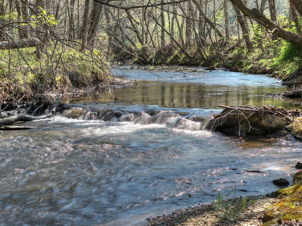 626 Brush Creek Road Copperhill, TN 37317 - Photo 12 of 60