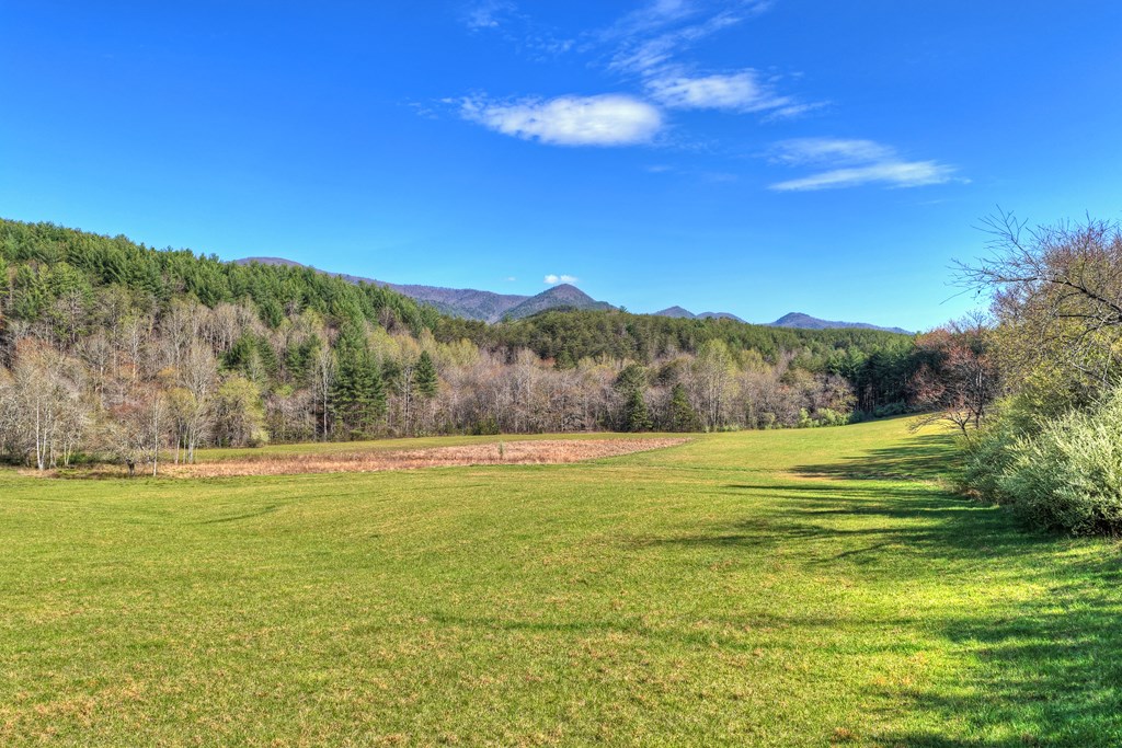 626 Brush Creek Road Copperhill, TN 37317 - Photo 13 of 60