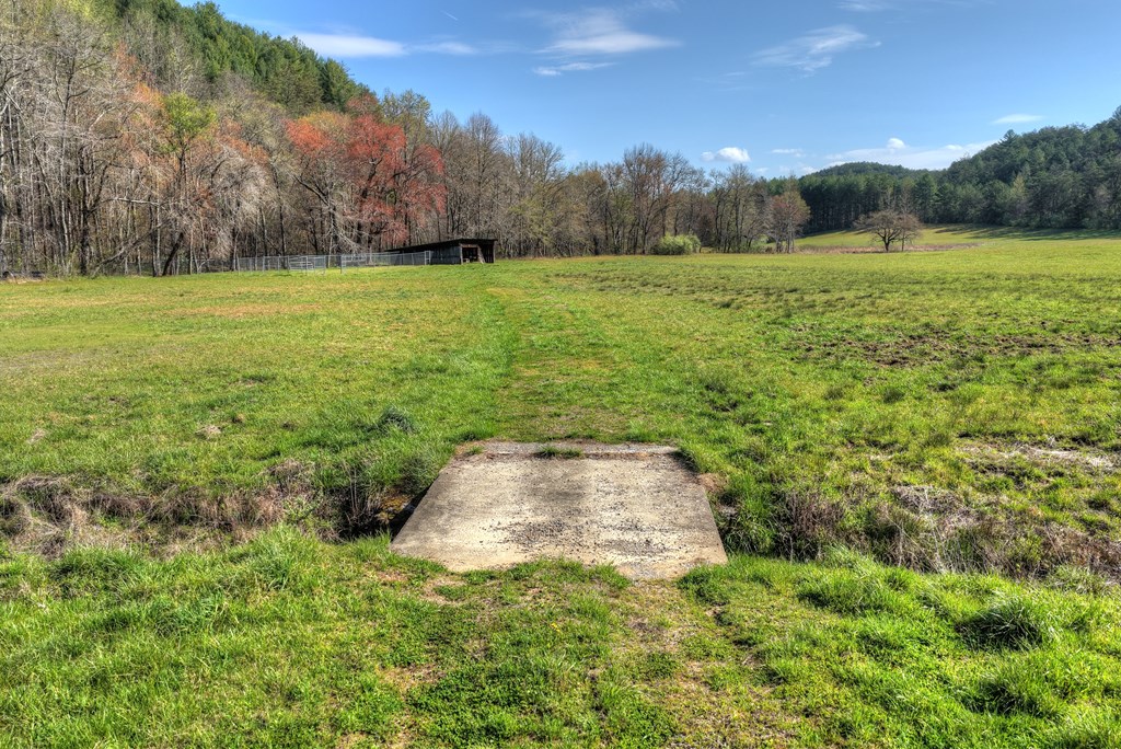 626 Brush Creek Road Copperhill, TN 37317 - Photo 15 of 60