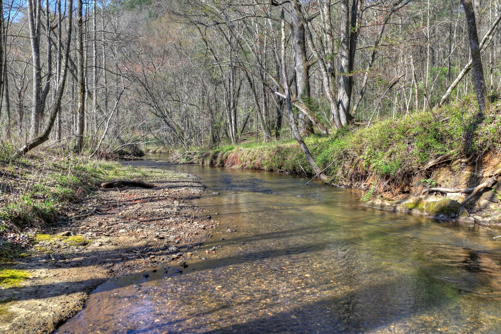 626 Brush Creek Road Copperhill, TN 37317 - Photo 16 of 60