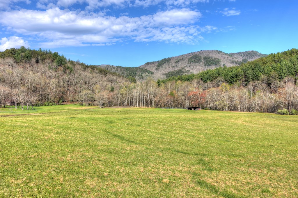 626 Brush Creek Road Copperhill, TN 37317 - Photo 17 of 60