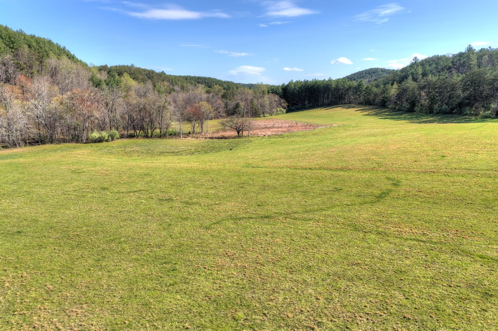 626 Brush Creek Road Copperhill, TN 37317 - Photo 20 of 60