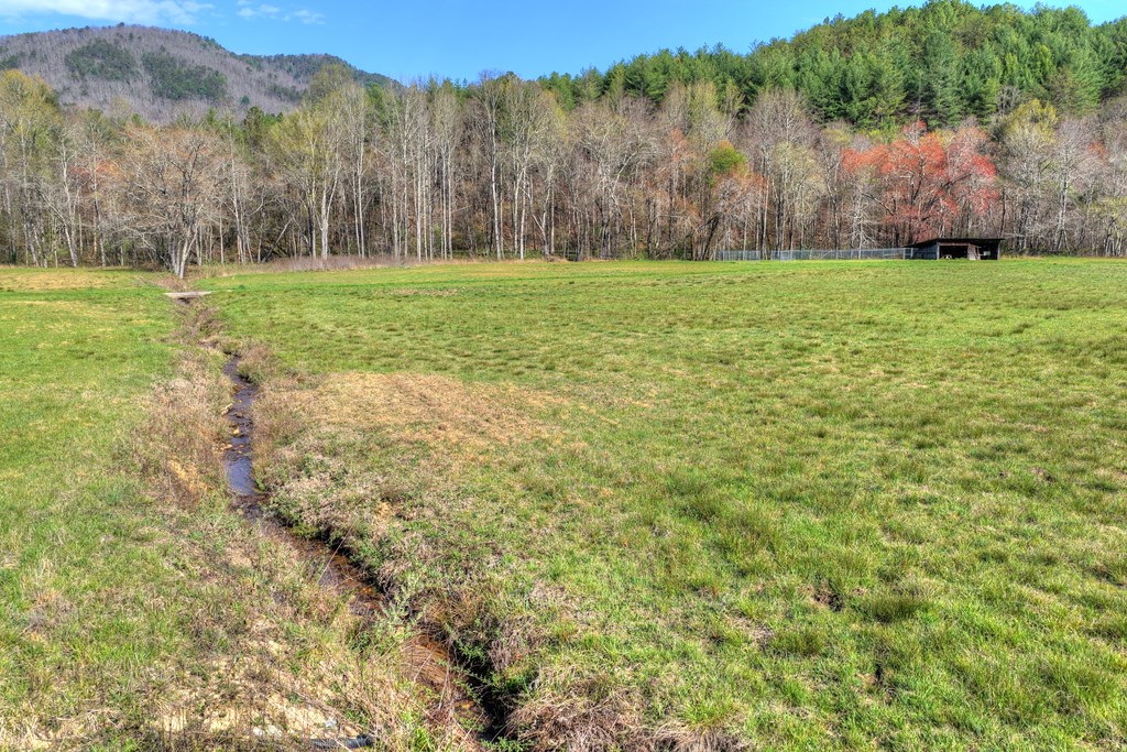 626 Brush Creek Road Copperhill, TN 37317 - Photo 21 of 60