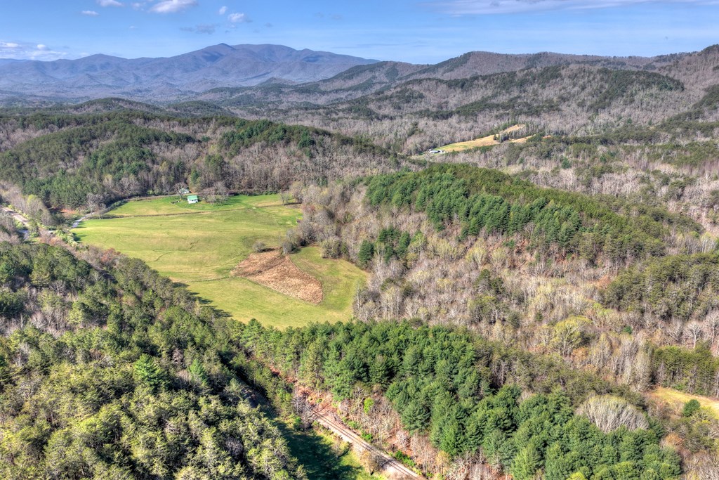 626 Brush Creek Road Copperhill, TN 37317 - Photo 22 of 60