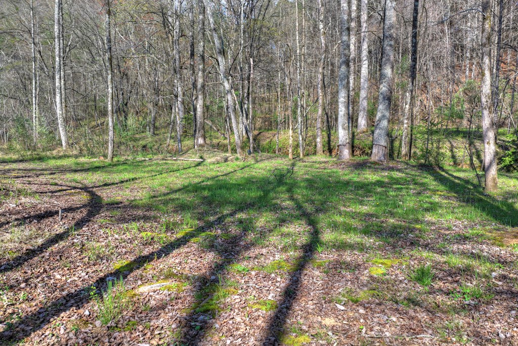 626 Brush Creek Road Copperhill, TN 37317 - Photo 23 of 60