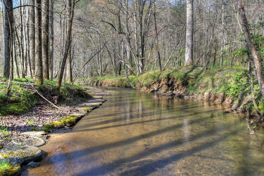 626 Brush Creek Road Copperhill, TN 37317 - Photo 24 of 60