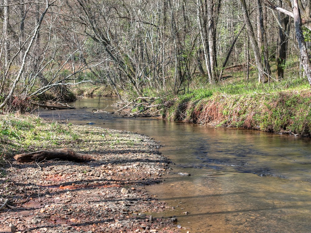626 Brush Creek Road Copperhill, TN 37317 - Photo 25 of 60