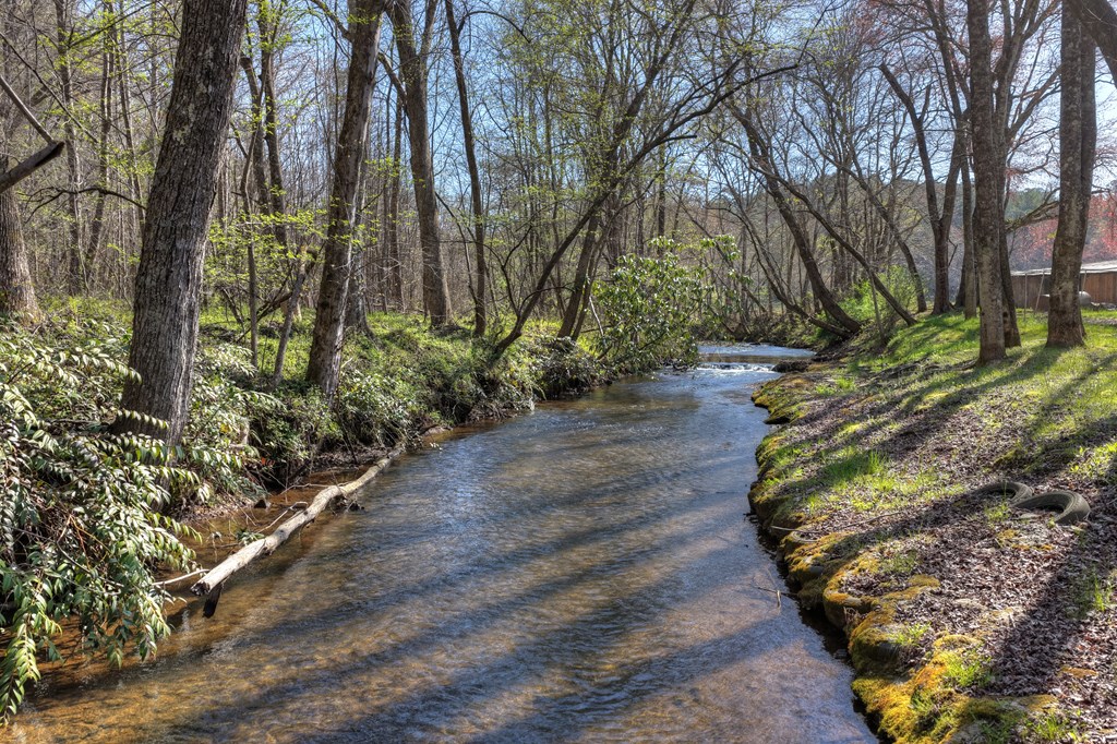 626 Brush Creek Road Copperhill, TN 37317 - Photo 26 of 60