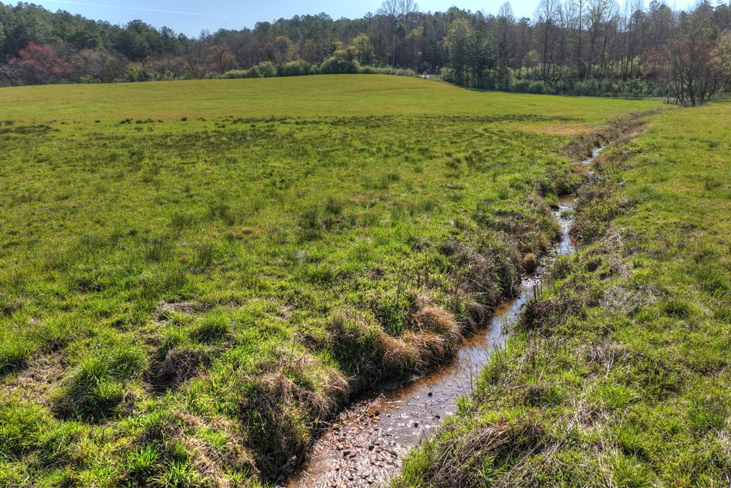 626 Brush Creek Road Copperhill, TN 37317 - Photo 27 of 60