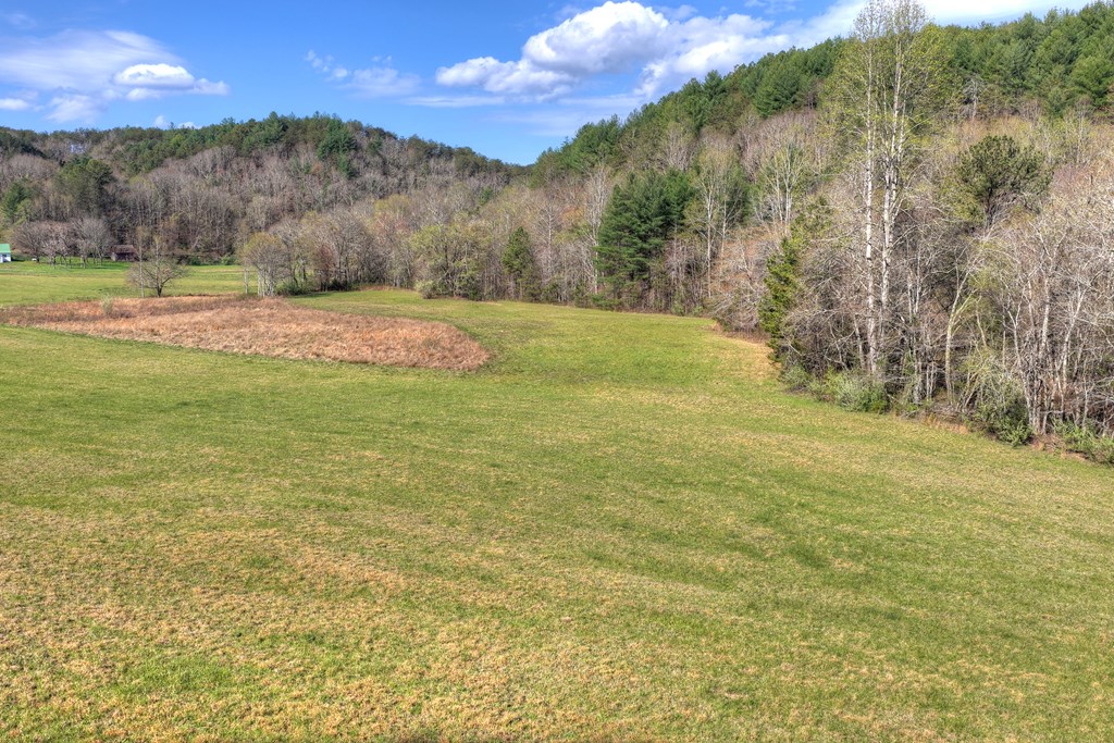 626 Brush Creek Road Copperhill, TN 37317 - Photo 29 of 60