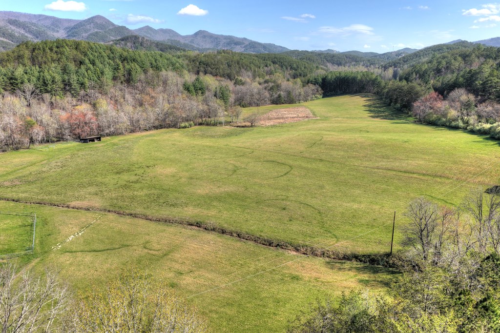 626 Brush Creek Road Copperhill, TN 37317 - Photo 30 of 60