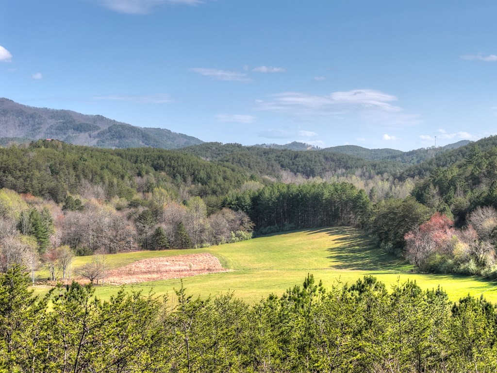 626 Brush Creek Road Copperhill, TN 37317 - Photo 3 of 60