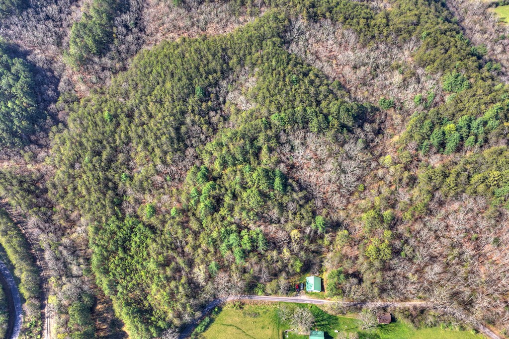 626 Brush Creek Road Copperhill, TN 37317 - Photo 33 of 60