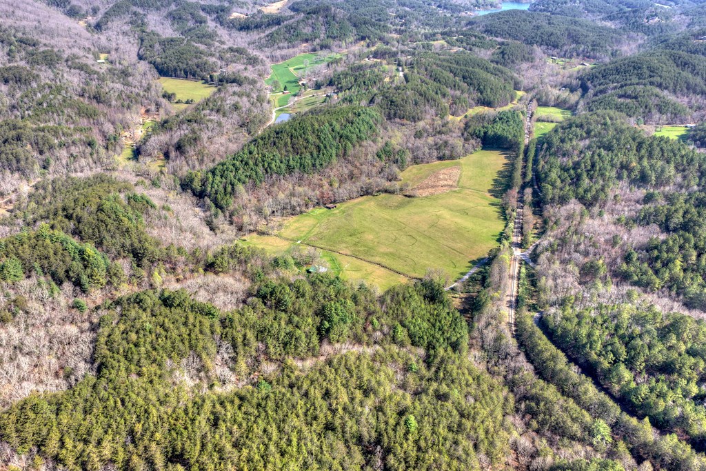 626 Brush Creek Road Copperhill, TN 37317 - Photo 34 of 60