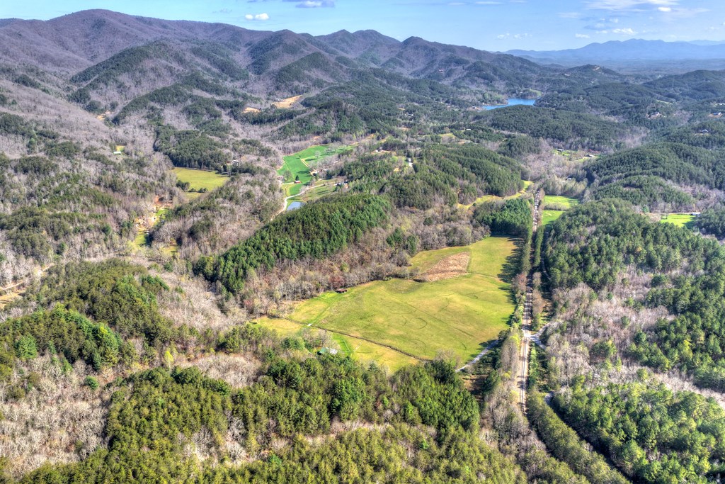 626 Brush Creek Road Copperhill, TN 37317 - Photo 35 of 60