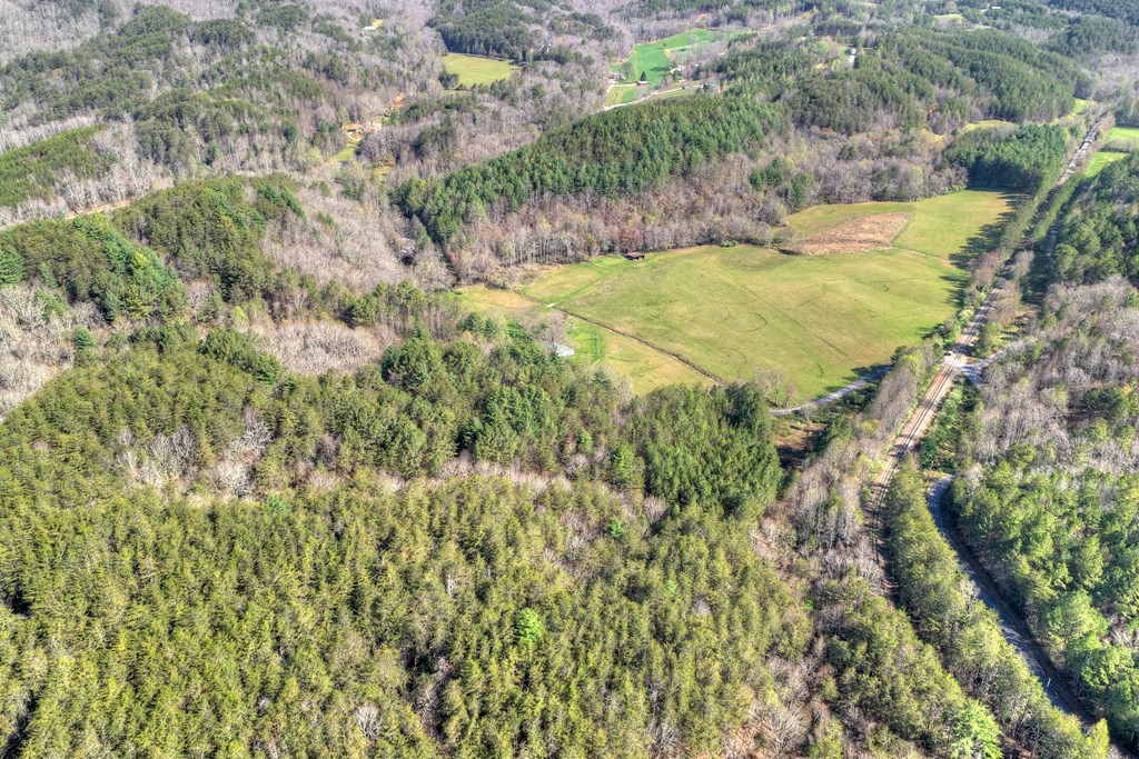 626 Brush Creek Road Copperhill, TN 37317 - Photo 36 of 60