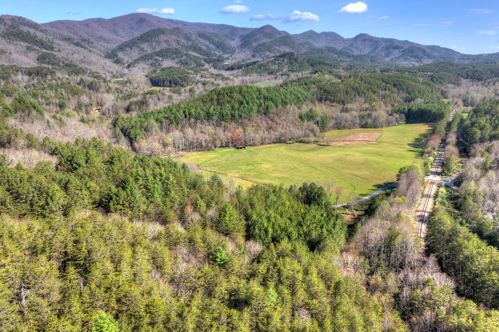 626 Brush Creek Road Copperhill, TN 37317 - Photo 38 of 60