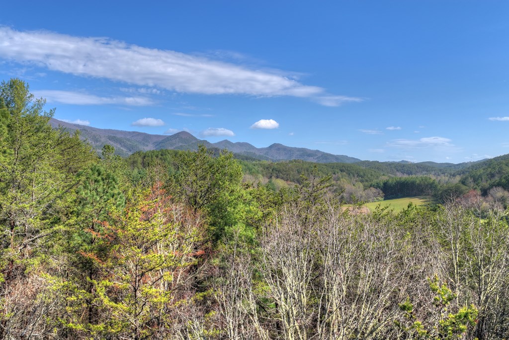 626 Brush Creek Road Copperhill, TN 37317 - Photo 39 of 60