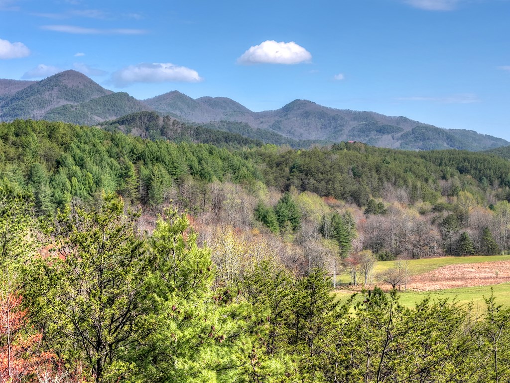 626 Brush Creek Road Copperhill, TN 37317 - Photo 40 of 60